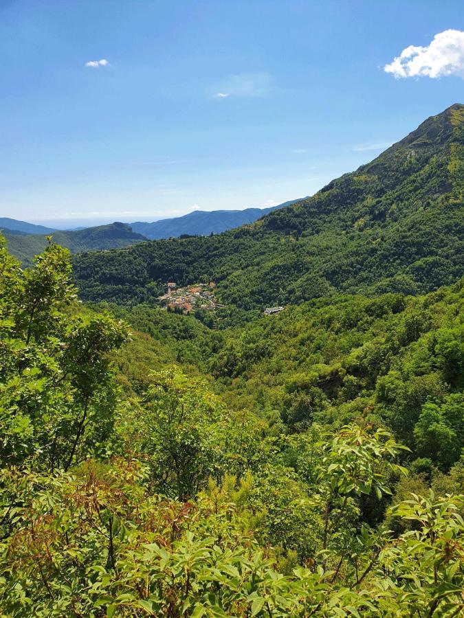 Il Bosco Di Campo Marzano Rooms & Apartments Borzonasca Luaran gambar