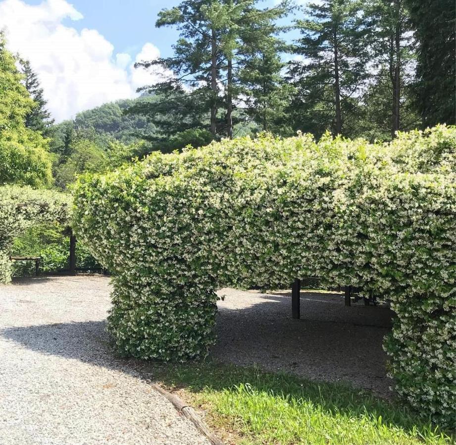 Il Bosco Di Campo Marzano Rooms & Apartments Borzonasca Luaran gambar