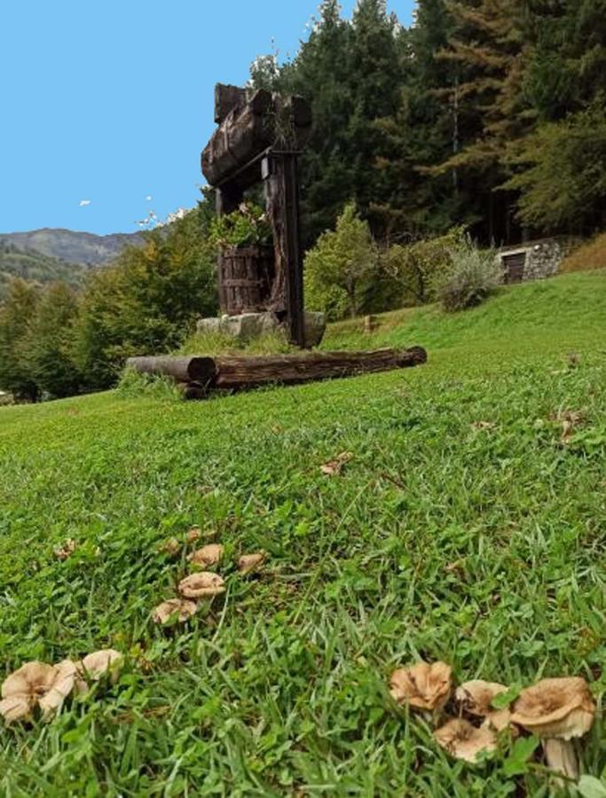 Il Bosco Di Campo Marzano Rooms & Apartments Borzonasca Luaran gambar