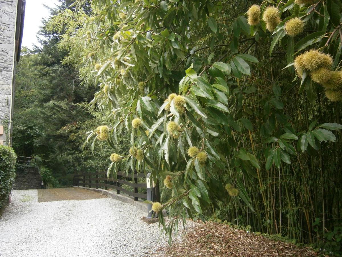 Il Bosco Di Campo Marzano Rooms & Apartments Borzonasca Luaran gambar