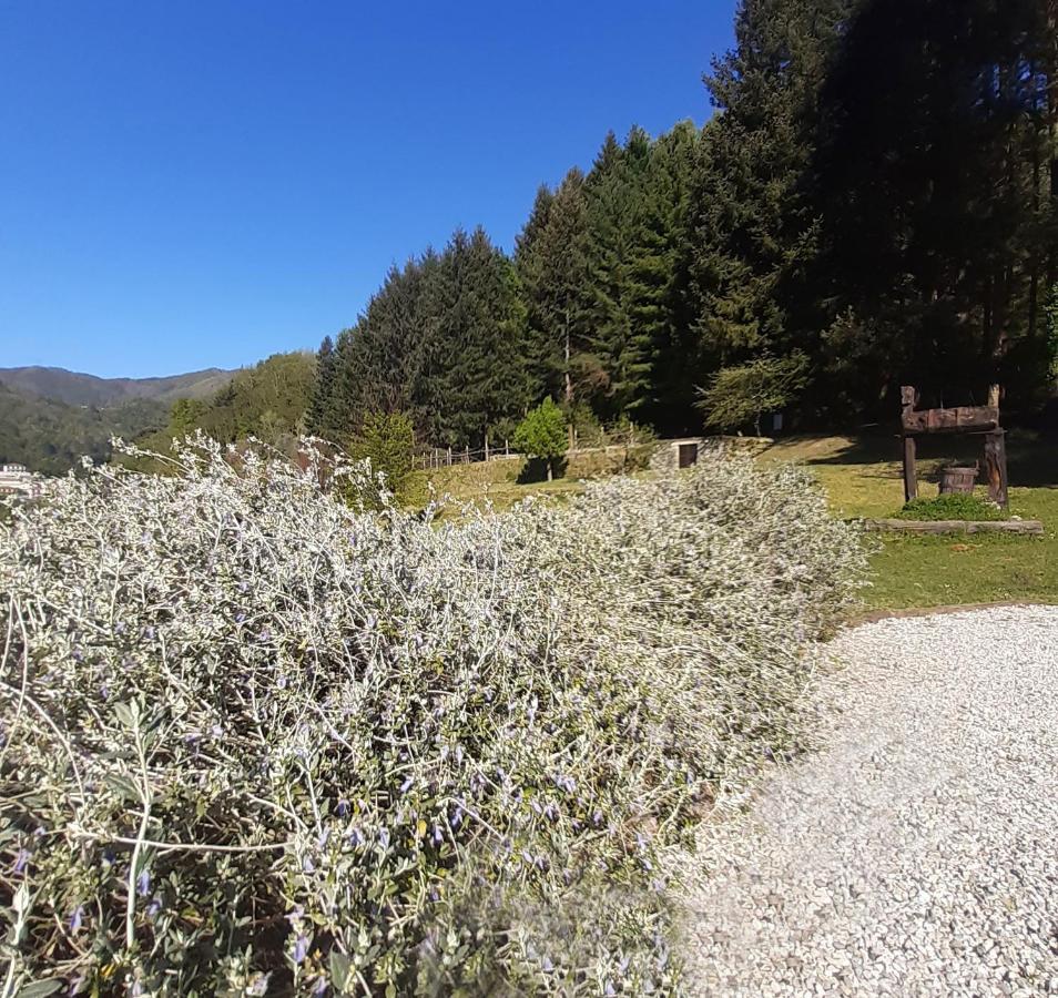 Il Bosco Di Campo Marzano Rooms & Apartments Borzonasca Luaran gambar