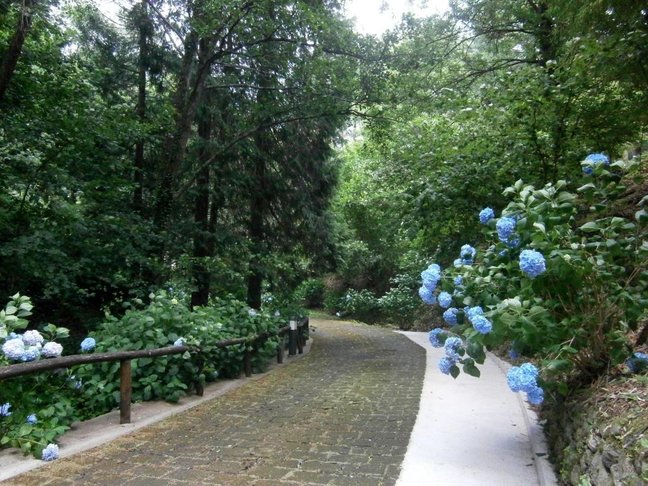 Il Bosco Di Campo Marzano Rooms & Apartments Borzonasca Luaran gambar