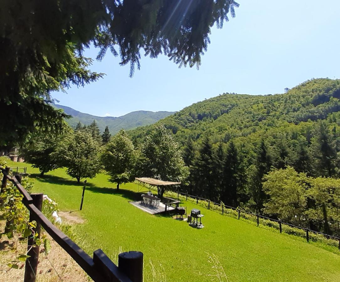Il Bosco Di Campo Marzano Rooms & Apartments Borzonasca Luaran gambar